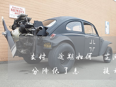 支付寶逾期如何漲芝麻分 支付寶逾期后芝麻分降低了,怎樣來提升