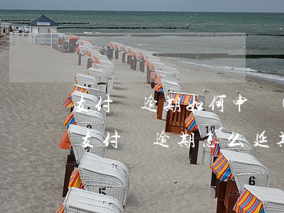 支付寶逾期如何申請(qǐng)延期還款(支付寶逾期怎么延期還款)