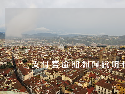 支付寶逾期如何說明情況