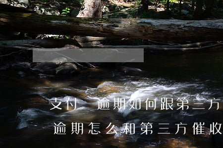 支付寶逾期如何跟第三方公司溝通-支付寶逾期怎么和第三方催收協(xié)商