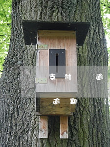 支付寶逾期如何進(jìn)入還款(支付寶逾期關(guān)閉還款入口)
