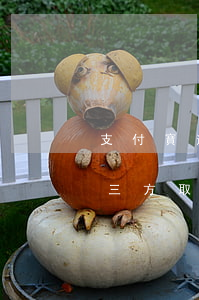 支付寶逾期委托第三方-支付寶逾期委托第三方取證