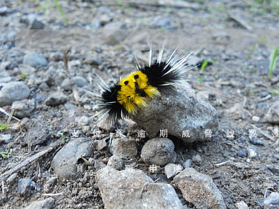 支付寶逾期威脅說要發(fā)函件-支付寶逾期申述