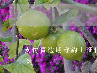 支付寶逾期守約上征信(支付寶逾期了怎么守約)