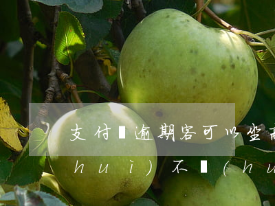 支付寶逾期客可以坐高鐵嘛(支付寶逾期會(huì)不會(huì)影響坐高鐵)