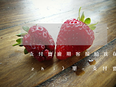 支付寶逾期客服給我在服務(wù)回執(zhí)單-支付寶逾期協(xié)商服務(wù)回執(zhí)單