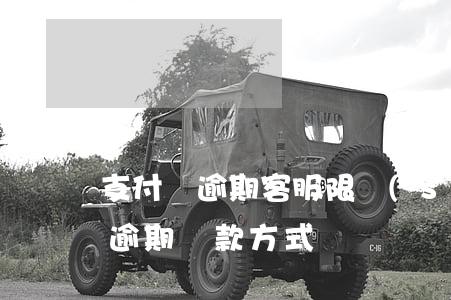 支付寶逾期客服限時(shí)還款(支付寶逾期還款方式)
