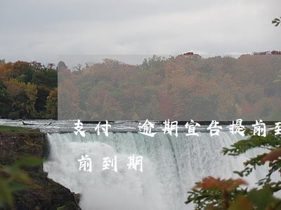 支付寶逾期宣告提前到期（支付寶逾期宣告提前到期）