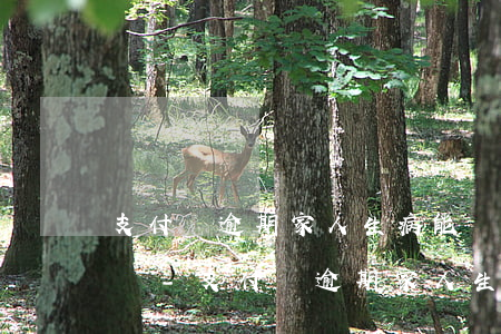 支付寶逾期家人生病能協(xié)商成功嗎-支付寶逾期家人生病能協(xié)商成功嗎