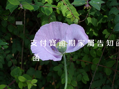 支付寶逾期家屬告知函（支付寶逾期家屬告知函）