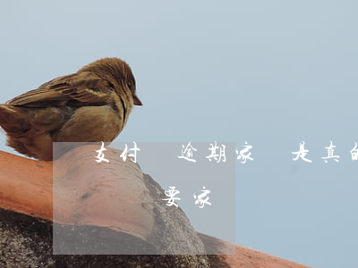 支付寶逾期家訪是真的嗎 支付寶逾期幾百塊錢說要家訪