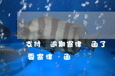 支付寶逾期寄律師函了沒管他(支付寶逾期說要寄律師函)