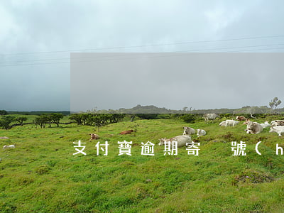 支付寶逾期寄掛號(hào)信封面