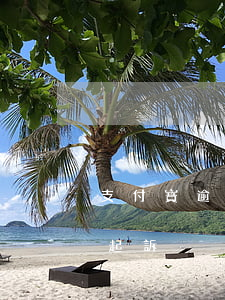 支付寶逾期寄的告知書(支付寶逾期短信通知起訴)