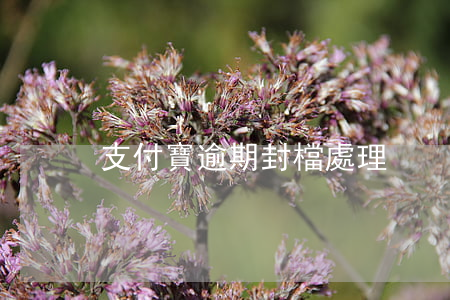 支付寶逾期封檔處理