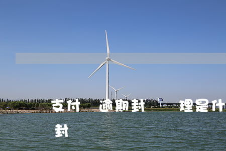 支付寶逾期封檔處理是什么意思（支付寶逾期封檔）