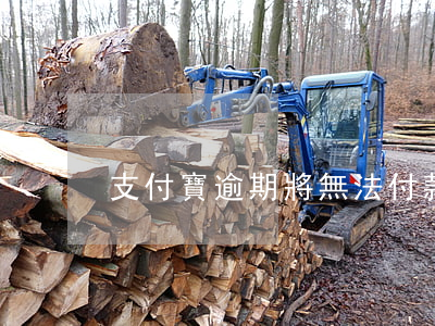 支付寶逾期將無法付款(支付寶逾期不還款)