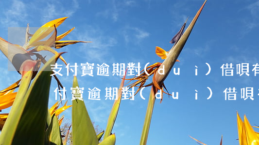 支付寶逾期對(duì)借唄有影響嗎-支付寶逾期對(duì)借唄有影響嗎知乎