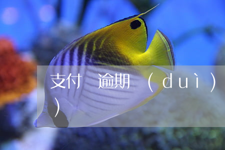 支付寶逾期對(duì)公轉(zhuǎn)賬