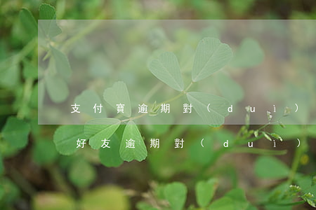 支付寶逾期對(duì)姐妹影響嗎(支付寶好友逾期對(duì)我影響嗎)