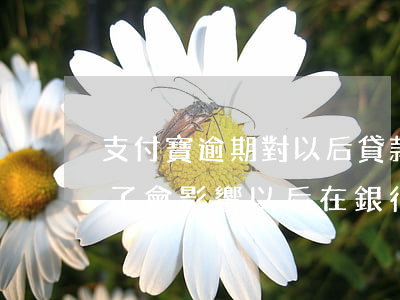 支付寶逾期對以后貸款有影響嗎(支付寶逾期了會影響以后在銀行貸款嗎)