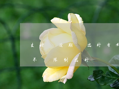 支付寶逾期對出行有影響嗎-支付寶逾期會不會限制出行