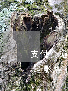 支付寶逾期對家人額度影響(支付寶逾期是不是影響很大)