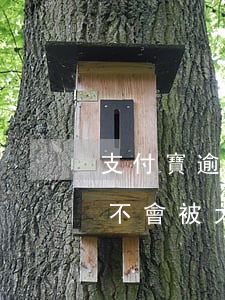 支付寶逾期小號被秒扣款(支付寶小號的錢會不會被大號扣款)