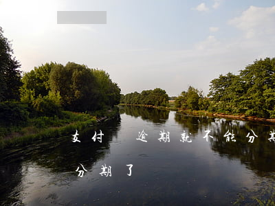 支付寶逾期就不能分期了(支付寶逾期就不能分期了)