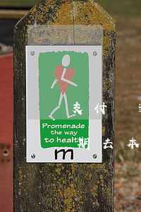 支付寶逾期屬地調(diào)查(支付寶逾期去本地走訪是真的嗎?)