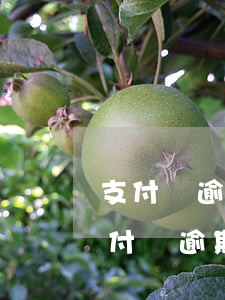 支付寶逾期工作人員會(huì)上門嗎(支付寶逾期會(huì)不會(huì)找上門)