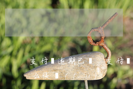 支付寶逾期已還-支付寶逾期已還清,征信怎么恢復(fù)?
