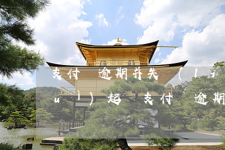 支付寶逾期并失聯(lián)多久會(huì)起訴（支付寶逾期并失聯(lián)多久會(huì)起訴）