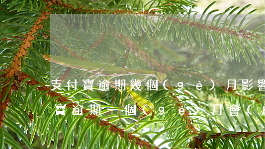 支付寶逾期幾個(gè)月影響征信么(支付寶逾期一個(gè)月會(huì)影響征信嗎)
