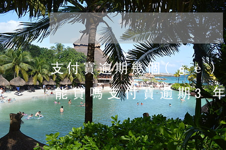 支付寶逾期幾個(gè)月車(chē)貸能貸嗎(支付寶逾期3年能車(chē)貸嗎)