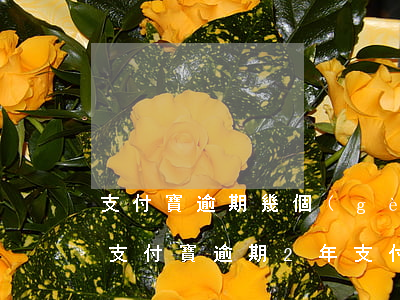 支付寶逾期幾個(gè)月還清還被起訴嗎 支付寶逾期2年,支付寶還能起訴我嗎?