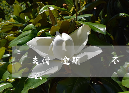 支付寶逾期幾塊錢不還 支付寶逾期還能收錢么