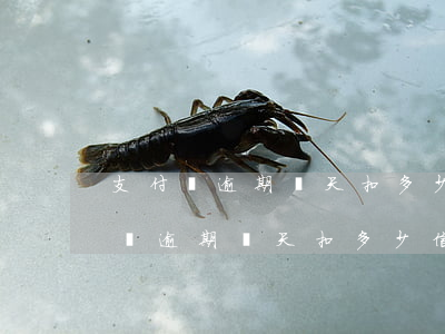 支付寶逾期幾天扣多少信譽(yù)度(支付寶逾期幾天扣多少信譽(yù)度)