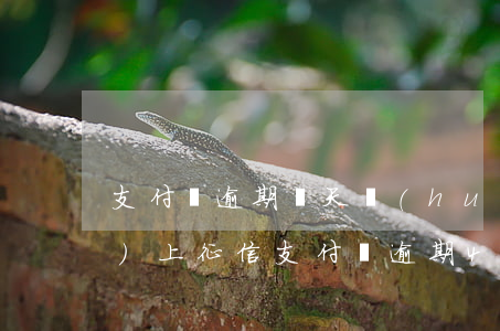 支付寶逾期幾天會(huì)不會(huì)上征信（支付寶逾期4天會(huì)不會(huì)上征信）