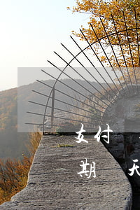 支付寶逾期幾天會(huì)有事(支付寶逾期兩天有事嗎)