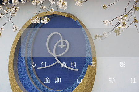 支付寶逾期幾百塊錢影響征信嗎怎么辦（支付寶逾期幾百塊錢影響征信嗎）