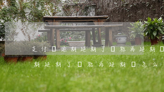 支付寶逾期延期了還能再延期嗎-支付寶逾期延期了還能再延期嗎怎么辦