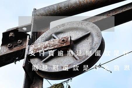 支付寶逾期延期還款是什么意思-支付寶逾期延期還款是什么意思啊