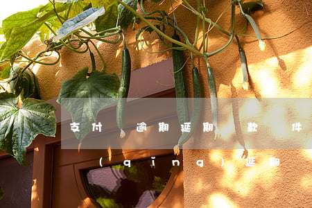 支付寶逾期延期還款條件(支付寶逾期可以申請(qǐng)延期嗎)
