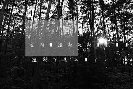 支付寶逾期延期還款話術(shù)(支付寶逾期了怎么協(xié)商還款)