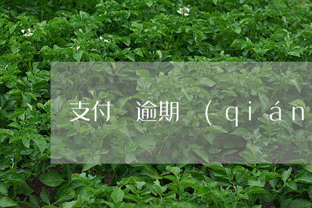 支付寶逾期強(qiáng)行劃扣