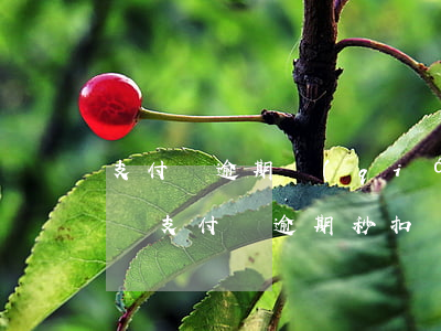 支付寶逾期強(qiáng)行扣款算違法嗎（支付寶逾期秒扣規(guī)則）
