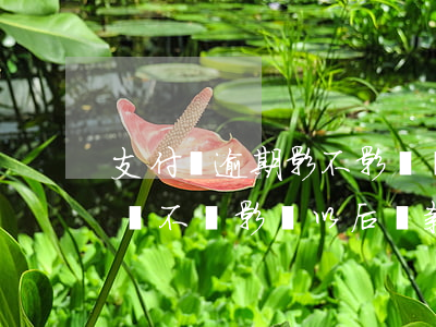 支付寶逾期影不影響貸款(如果支付寶逾期了會不會影響以后貸款)