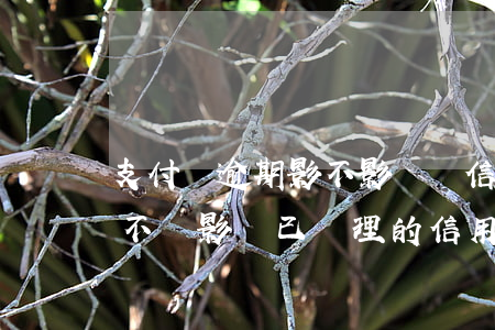 支付寶逾期影不影響辦信用卡(支付寶逾期會不會影響已辦理的信用卡?)