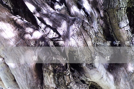 支付寶逾期影響一輩子嗎-支付寶逾期幾年會(huì)怎樣